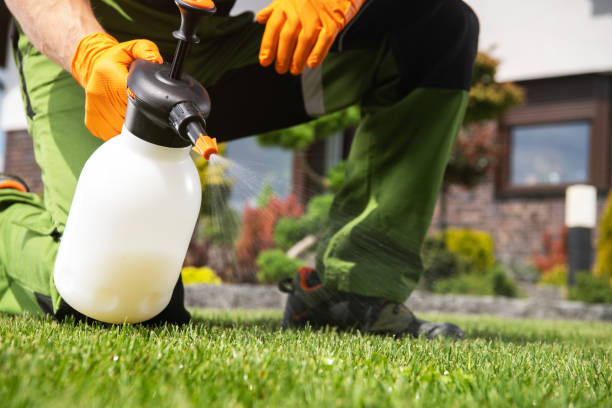 Best Bed Bug Extermination  in Una, WA