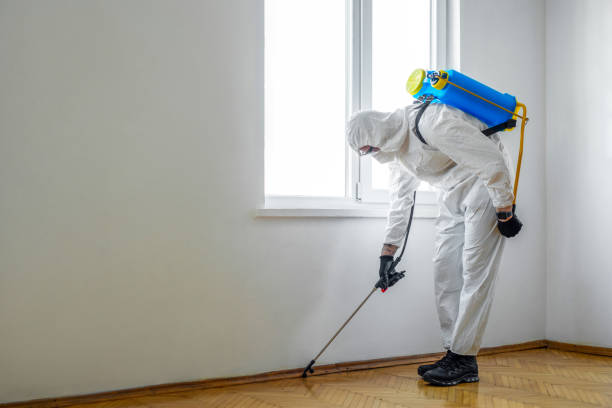 Best Insect Control  in Una, WA