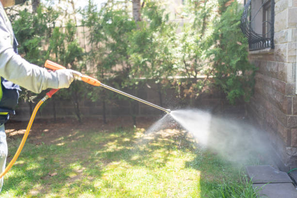 Best Rat Extermination Near Me  in Una, WA