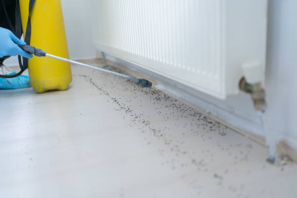 Best Pest Control for Homes  in Una, WA