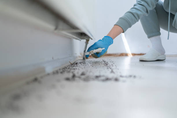 Best Mosquito Control Services  in Una, WA