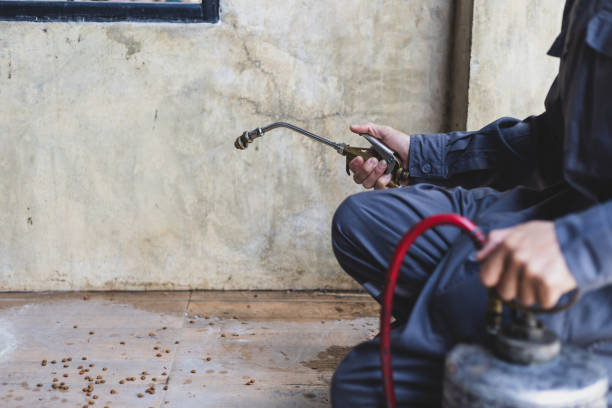 Best Local Pest Control Services  in Una, WA